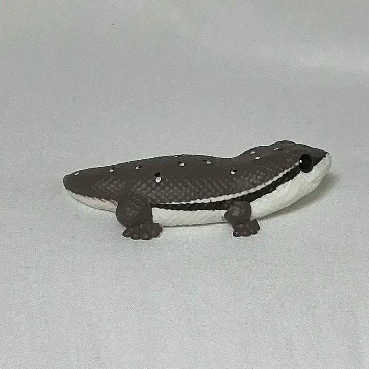 [BUNJANG] Bandai Tenori Friends Tokay Gecko / 반다이 테노리 프렌즈 큰입도마뱀
