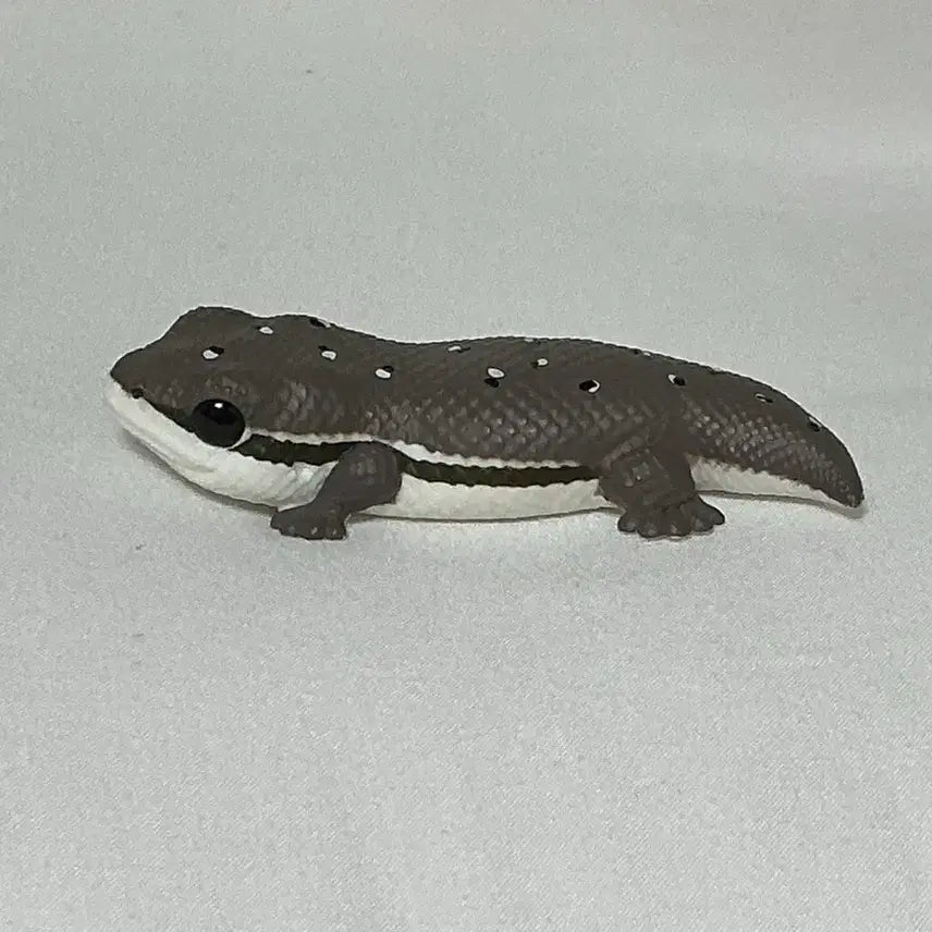 [BUNJANG] Bandai Tenori Friends Tokay Gecko / 반다이 테노리 프렌즈 큰입도마뱀