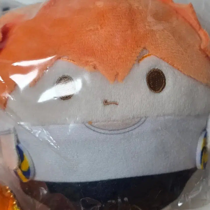 [BUNJANG] Haikyuu Hinata Set / 하이큐 히나타세트