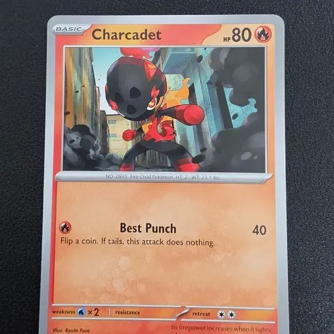 [BUNJANG] Pokemon Trading Cards (North America Carbon) / 포켓몬 카드 북미 카르본