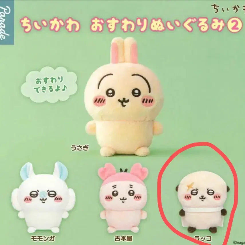 [BUNJANG] Chiikawa Seated Plush Racco (Sealed) / (미개봉)치이카와 앉은누이 랏코