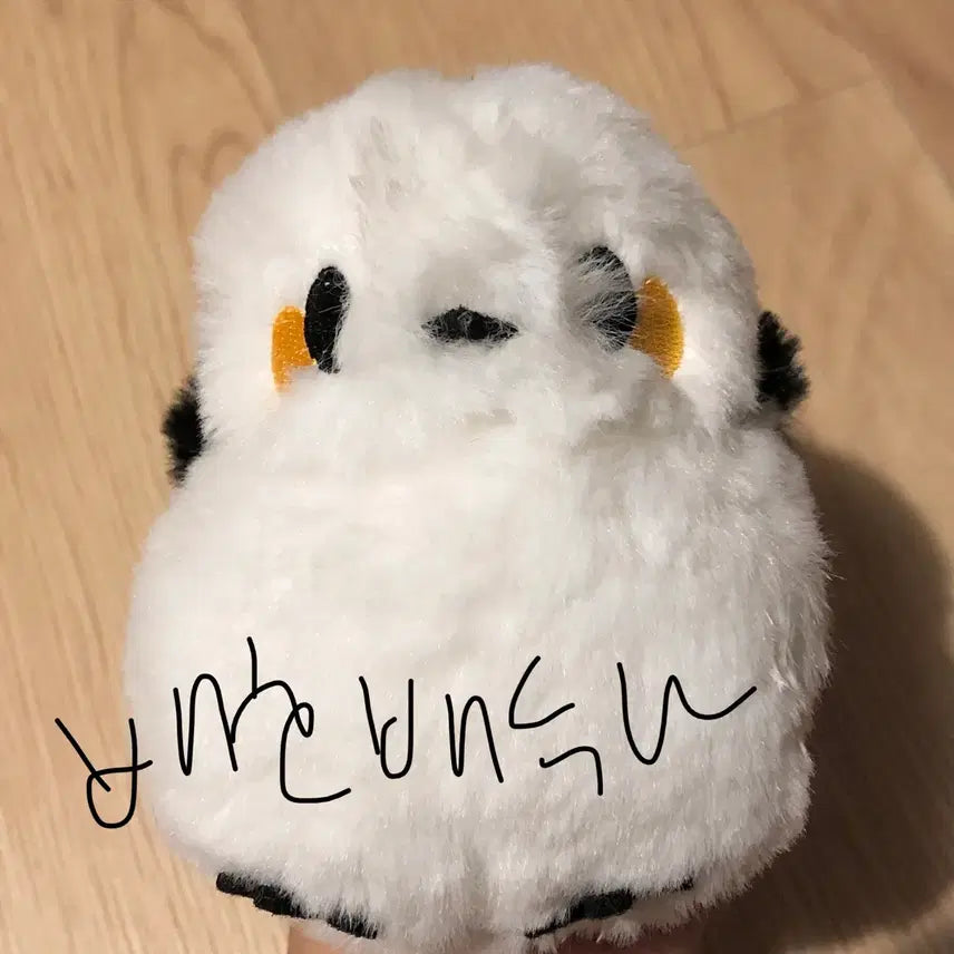 [BUNJANG] Hokkaido Siskin Long-Haired Plush Toy / 홋카이도 오목눈이 뱁새 인형