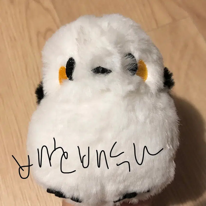 [BUNJANG] Hokkaido Siskin Long-Haired Plush Toy / 홋카이도 오목눈이 뱁새 인형