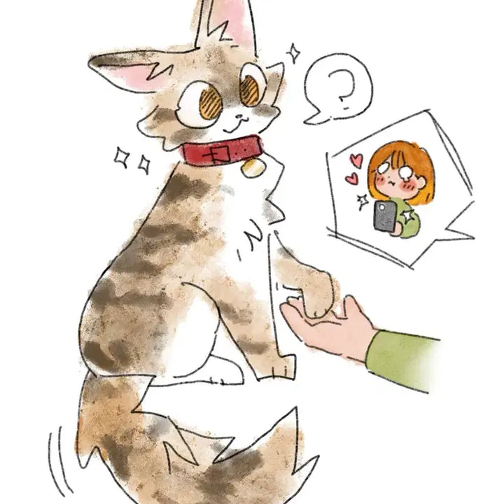 [BUNJANG] Custom Pet Portrait &amp; Animal Character Illustration / 그림 커미션 반려동물,동물화 고양이 낙서