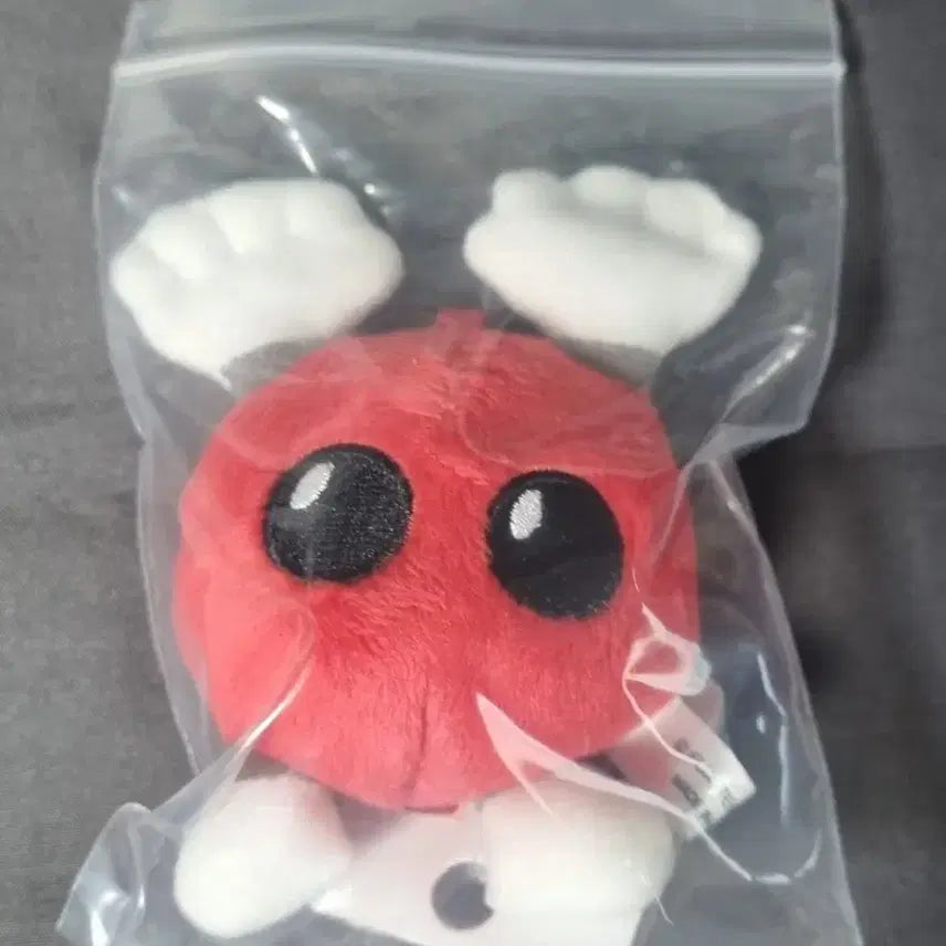 [BUNJANG] Haikyuu!! Baka-chan Red Plush / 하이큐 바보짱 바보쨩 레드 빨간색