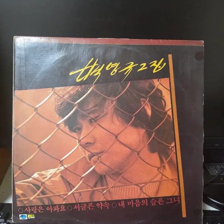 [BUNJANG] Baek Young Kyu 2nd Album LP / 백영규 2집 LP