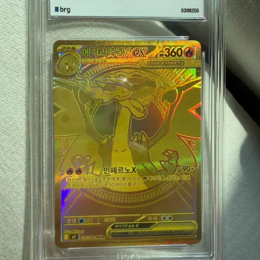 [BUNJANG] Mega Charizard Card / 택포 41) 메가리자몽 mur brg 9 판매합니다