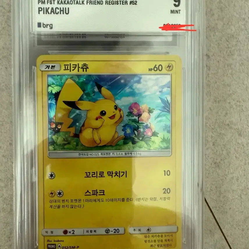 [BUNJANG] 2017 Pikachu Rare Promo Card BRG 9 Mint / 2017 포켓몬카드 피카츄 희귀 프로모카드