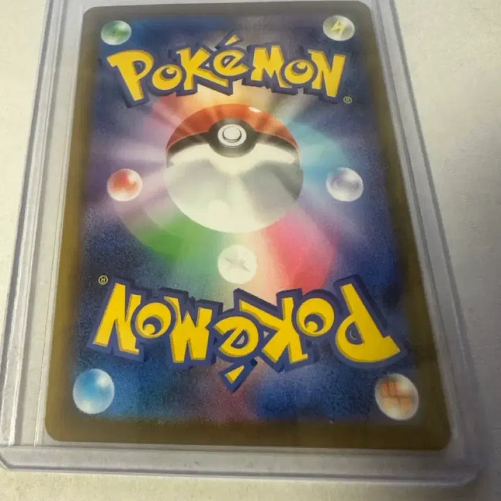 [BUNJANG] Pokemon Card Morpeko SAR Japanese / 포켓몬카드) 모르페코 일판 SAR