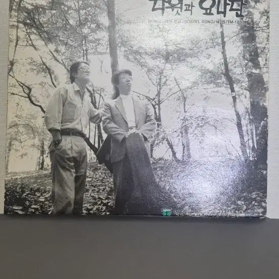 [BUNJANG] David and Jonathan 2nd Album Rare LP (Mint Condition) / 다윗 과 요나단  희귀 lp  2집 (민트급)