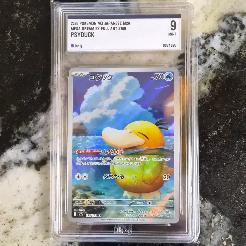 [BUNJANG] Pokemon Card Goraduck AR Full Art (Japanese) / (일판)포켓몬 카드 고라파덕ar
