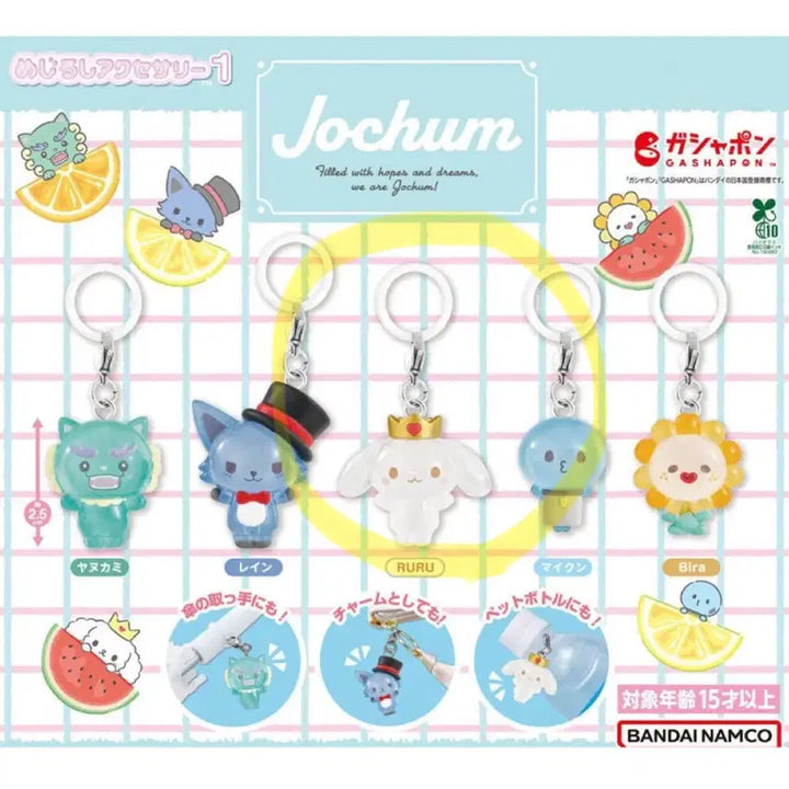 [BUNJANG] JOCHUM JEOCHUM Mezurashi Sealed / 산리오 JOCHUM 제오참 메지루시