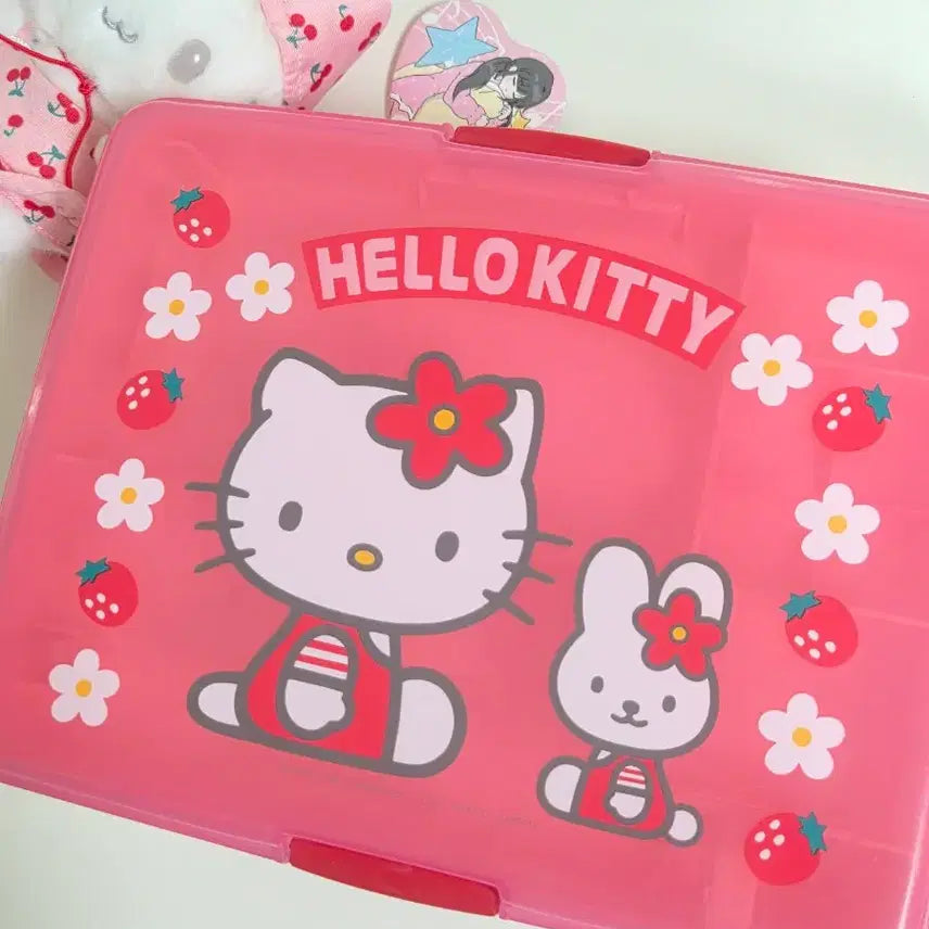 [BUNJANG] Classic Kitty Strawberry Kitty Cash Storage Box Case / 고전키티 딸기키티 캐시 보관함 케이스