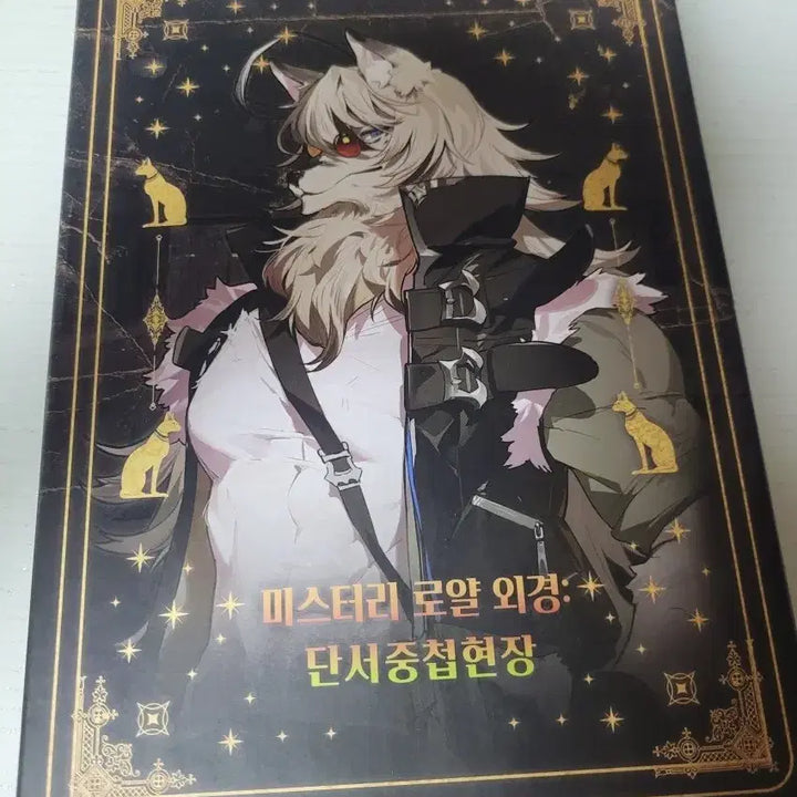[BUNJANG] Mystery Royal - Clue Overlap Scene Board Game / 미스터리 로얄 외경 단서중첩현장