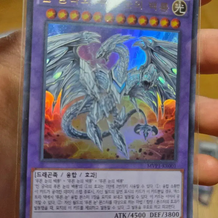 [BUNJANG] Blue-Eyes White Dragon 1st Edition / 진 궁극의 푸른 눈의 백룡 1st Edition