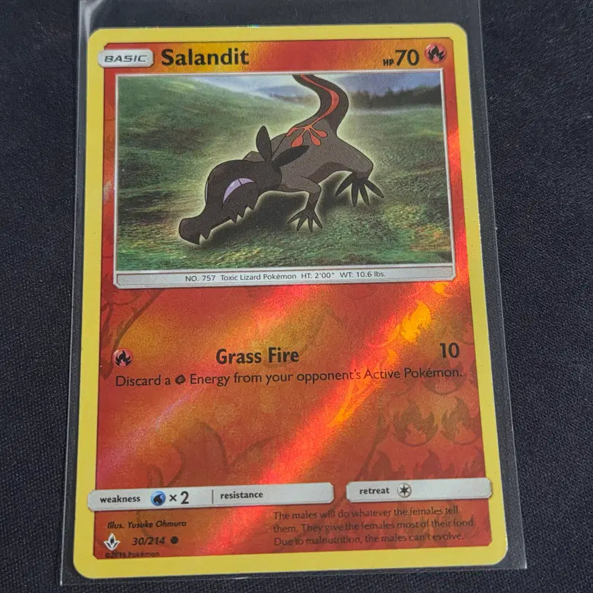 [BUNJANG] Pokemon Card North American Version Slowking Reverse Holo / [포켓몬 카드] 북미판 야도뇽 리버스홀로