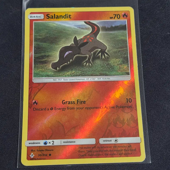 [BUNJANG] Pokemon Card North American Version Slowking Reverse Holo / [포켓몬 카드] 북미판 야도뇽 리버스홀로