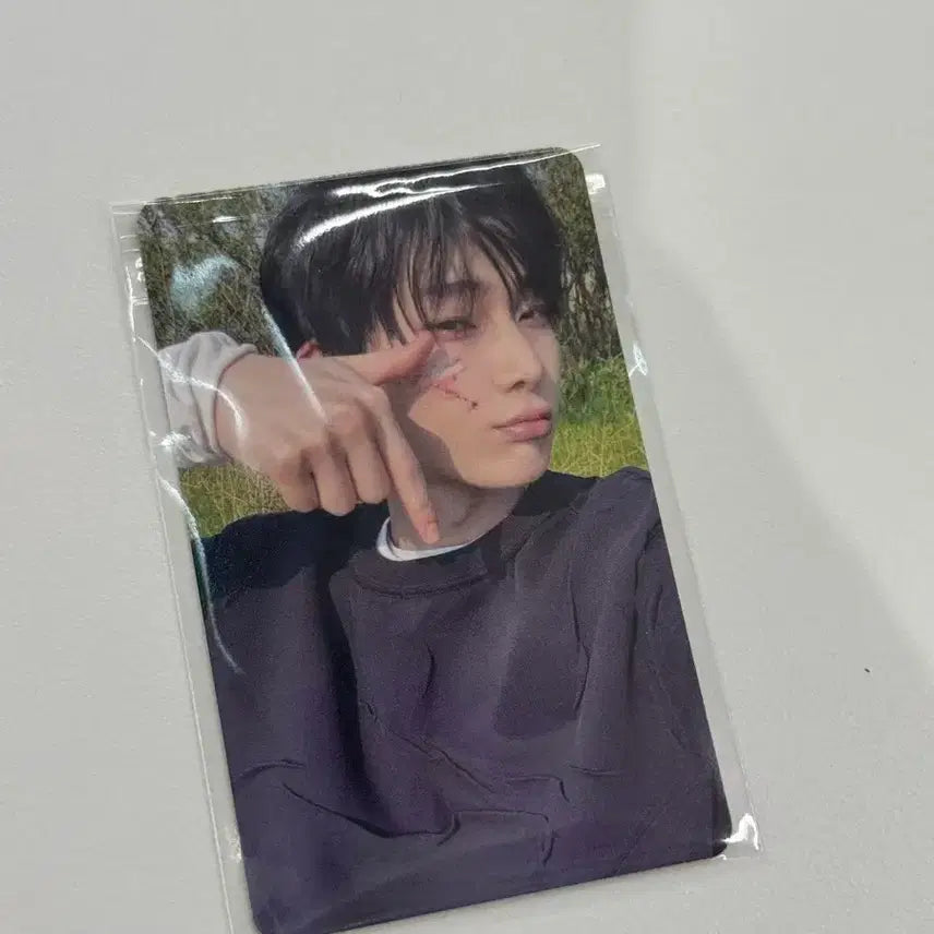 [BUNJANG] ENHYPEN Sunoo Everline Lucky Draw Photocard / 엔하이픈 선우 에버라인 everline 럭드 lucky draw