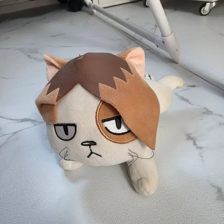 [BUNJANG] Haikyuu!! Kenma Kozume Nekoma Cat Plush / 하이큐 켄마 켄마냥 고양이 인형