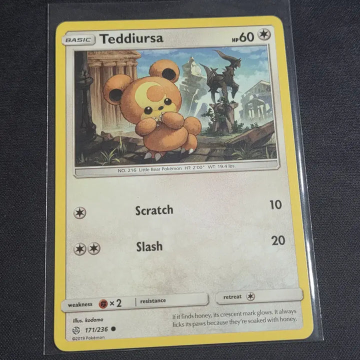 [BUNJANG] Pokemon Card North American Edition Teddiursa (Arceus on Back) / [포켓몬 카드] 북미판 깜지곰 (뒷쪽에 아르세우스)