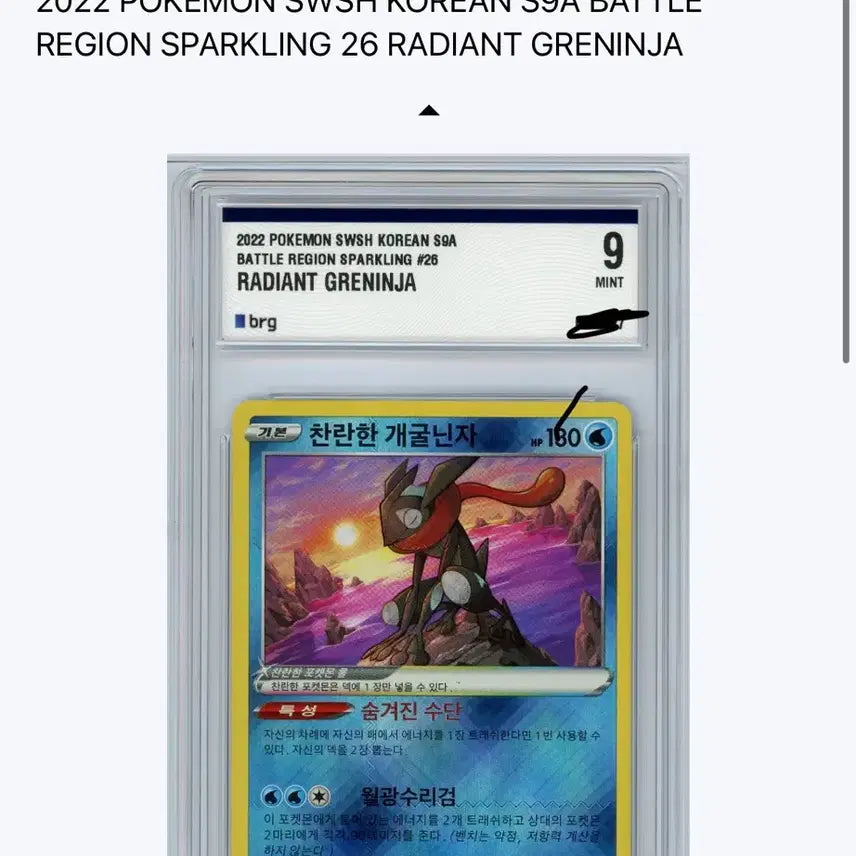 [BUNJANG] Brilliant Greninja 