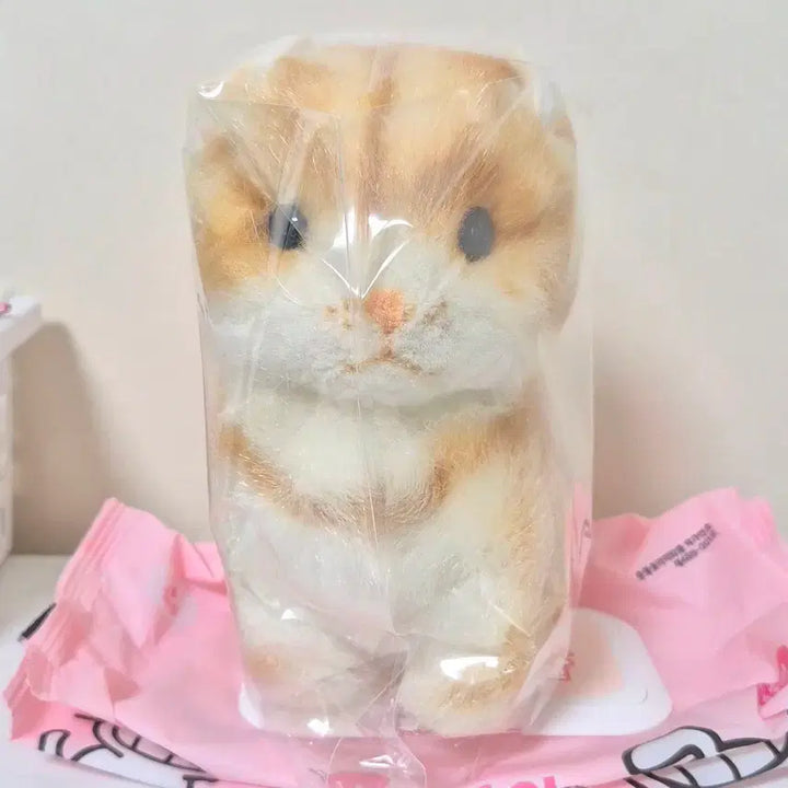 [BUNJANG] Vintage Apricot Cheese Cat Plush / 고전 빈티지 살구코 치즈냥 고양이 인형