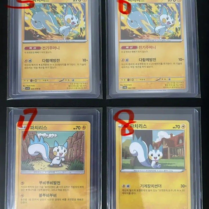 [BUNJANG] Pokemon Card Pachirisu - All Grades / 포켓몬카드 파치리스 대방출