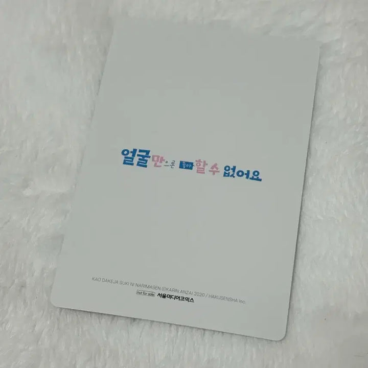 [BUNJANG] Chaosky Doigaki Photocard / 얼굴만으론 좋아할 수 없어요 카오스키 특전 도이가키 포토카드