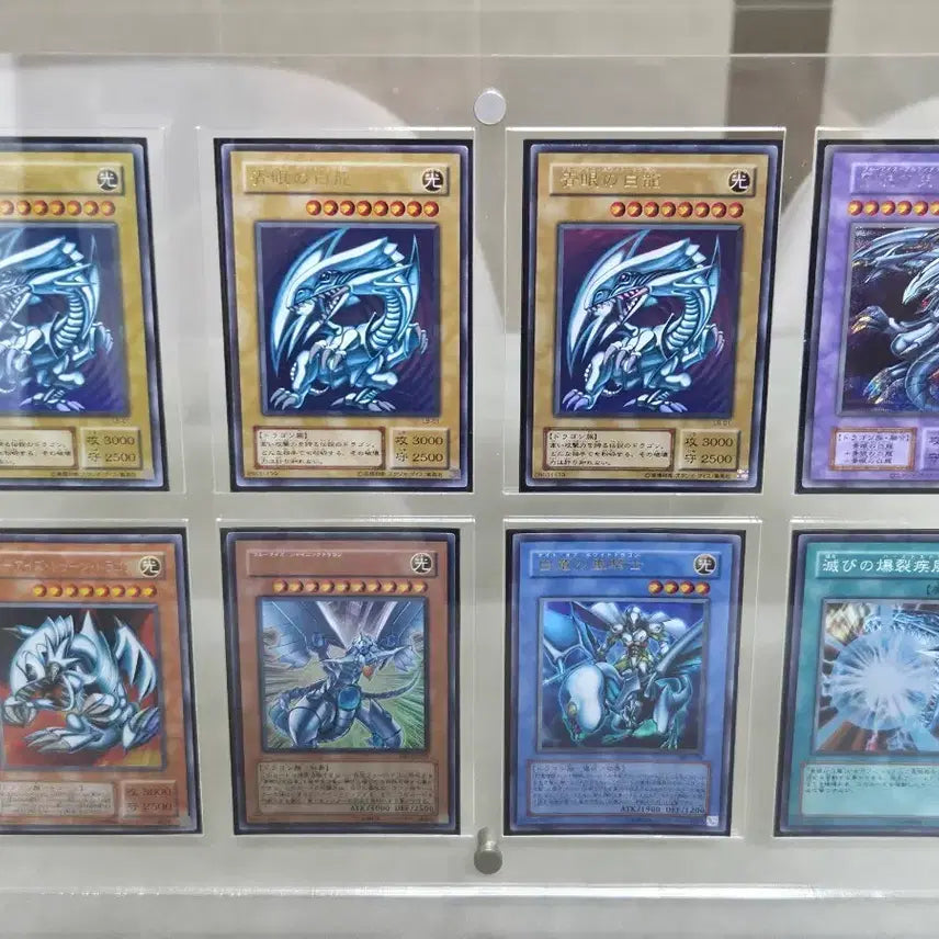 [BUNJANG] Blue-Eyes White Dragon 8-Type Set Board Game Cards / 백룡 8종 세트
