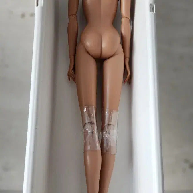 [BUNJANG] Integrity Toys Body / 인테그리티 바디