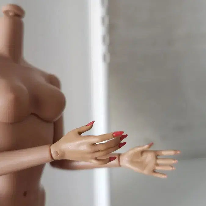 [BUNJANG] Integrity Toys Body / 인테그리티 바디