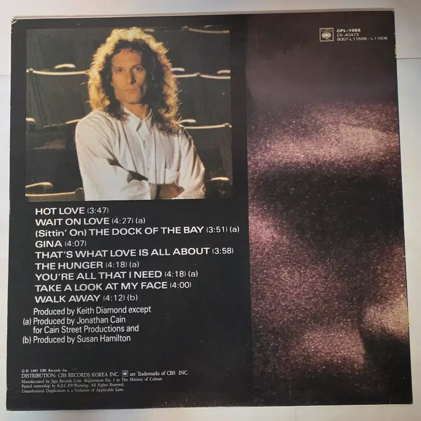[BUNJANG] Michael Bolton The Hunger LP / 마이클 볼튼 The Hunger LP