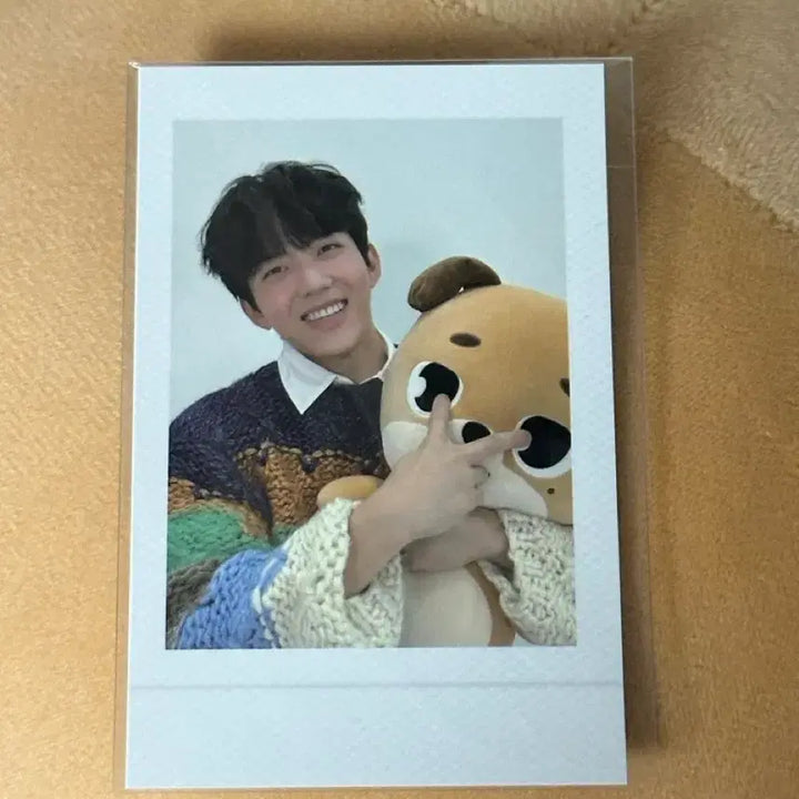 [BUNJANG] Day6 Giant Demel Don Photocard Bundle Set / 데이식스 자이언트데멀 왕데멀 돈 폴라포함