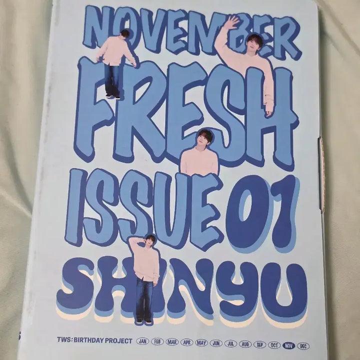 [BUNJANG] TWS Shinyu 2024 Birthday Box Unsealed / 투어스 신유 생일박스 개봉