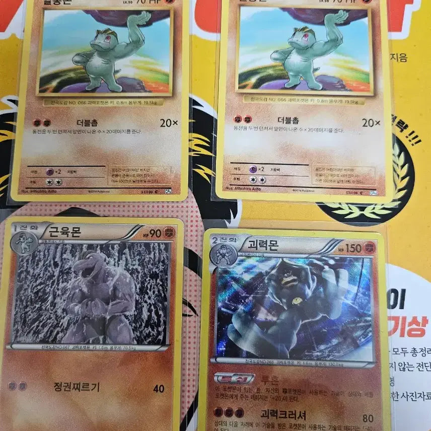 [BUNJANG] Pokemon Machop, Machoke, Machamp Set / 포켓몬카드 알통몬 근육몬 괴력몬 세트 XY