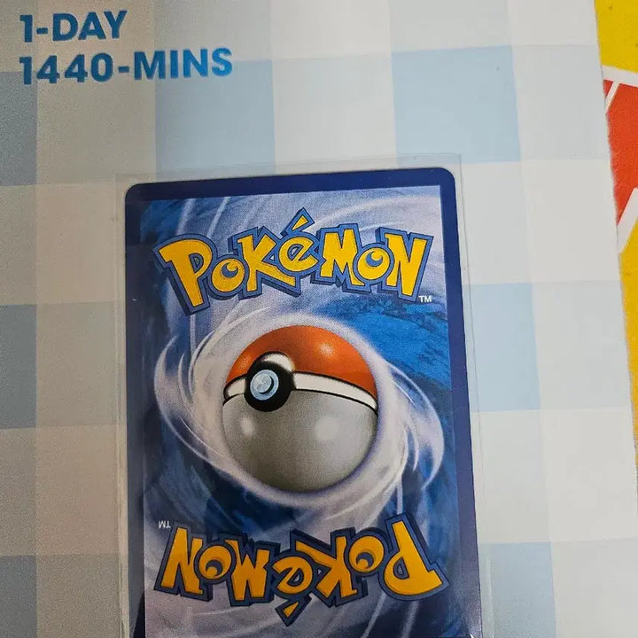 [BUNJANG] Pokemon Card N XY / 포켓몬카드 N xy