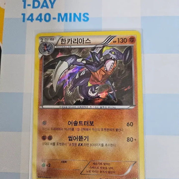 [BUNJANG] Pokemon Card Garchomp XY / 포켓몬카드 한카리아스 XY