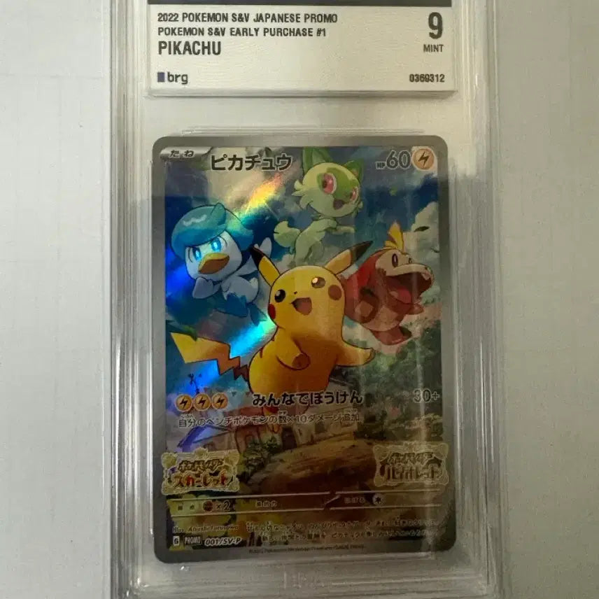 [BUNJANG] Pokemon Card Pikachu Sychu BRG 9 / [일판] 포켓몬카드 피카츄 스바츄 BRG 9