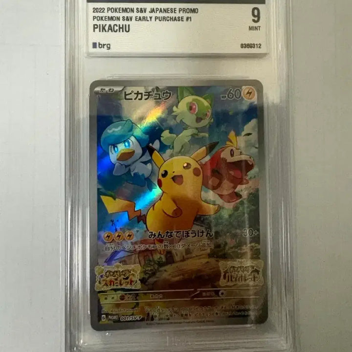 [BUNJANG] Pokemon Card Pikachu Sychu BRG 9 / [일판] 포켓몬카드 피카츄 스바츄 BRG 9