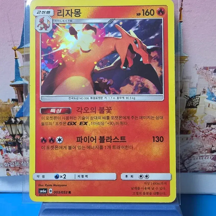 [BUNJANG] Pokemon Card Charizard 2018 Card Album / 포켓몬카드 리자몽 2018년 카드 앨범용