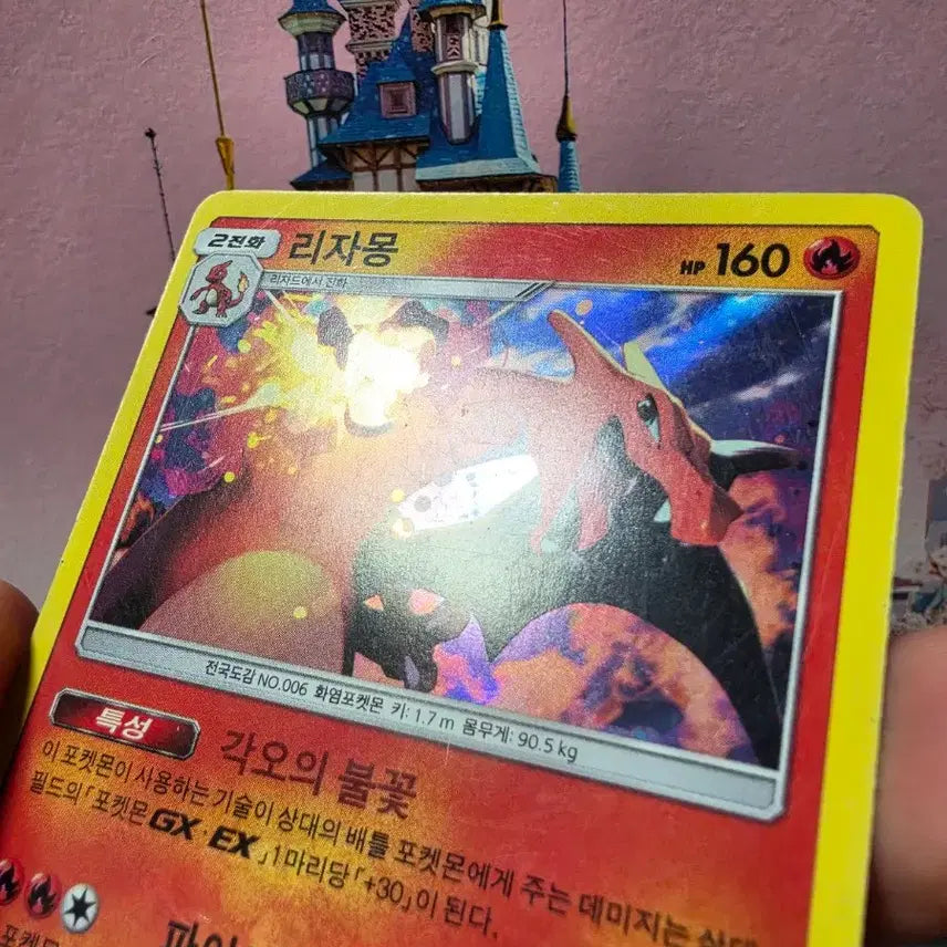 [BUNJANG] Pokemon Card Charizard 2018 Card Album / 포켓몬카드 리자몽 2018년 카드 앨범용