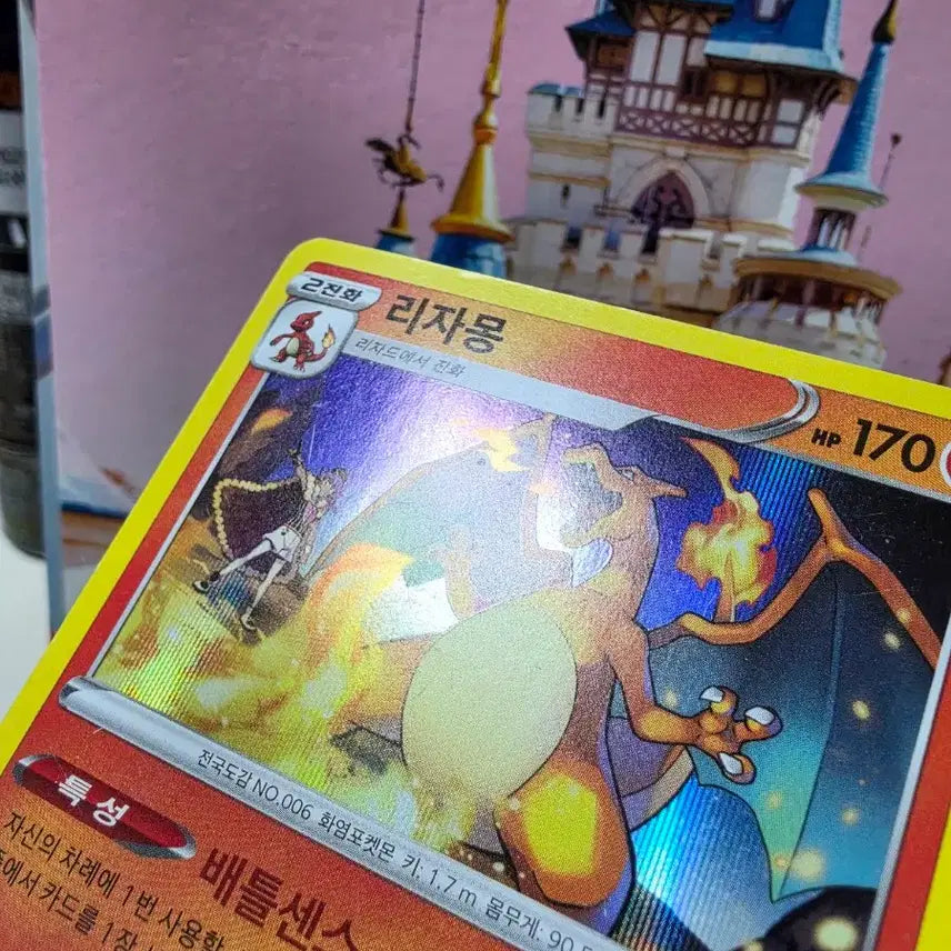 [BUNJANG] Pokemon Card Charizard 2020 Card Album / 포켓몬카드 리자몽 2020년 카드 앨범용