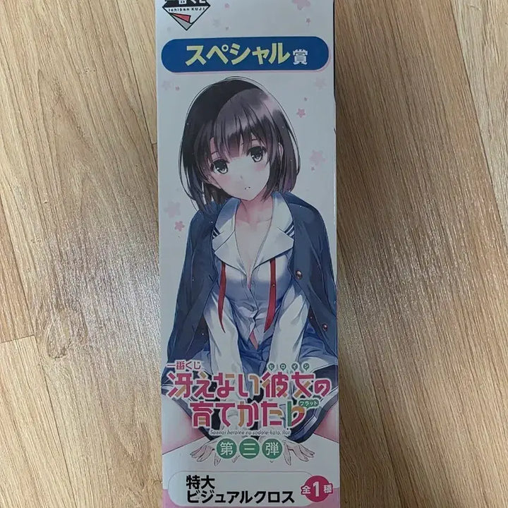 [BUNJANG] Megumi Kato Ichiban Kuji Special Size Visual Cloth Poster / 카토 메구미 이치방쿠지 특대 비주얼 크로스 판매 (택배비 포함