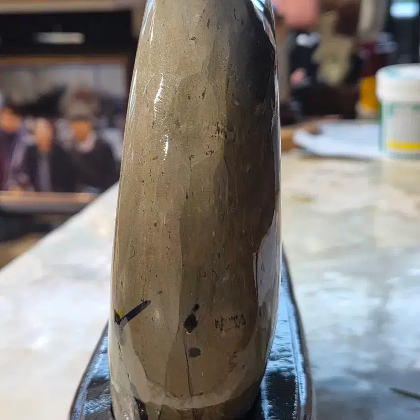 [BUNJANG] Fossilized Wood Stone (25x20x4) / 초화석 원석 25_20_4