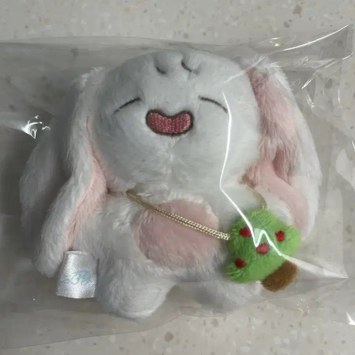 [BUNJANG] Park Bo-young Ppo-u Keyring Photocard / 박보영 뽀유 키링 포카