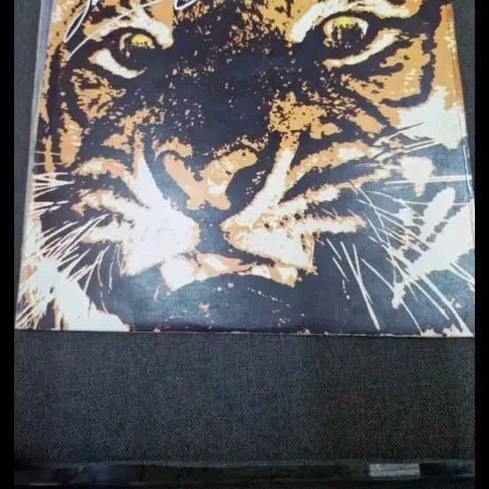 [BUNJANG] Survivor Eye of the Tiger LP / 서바이버 Eye of the Tiger lp