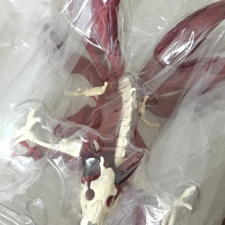 [BUNJANG] Naruto Shippuden Six Paths Last One Ichiban Kuji Prize / (미개봉) 나루토 제일복권 윤회편 쿠지 육미 라스트원