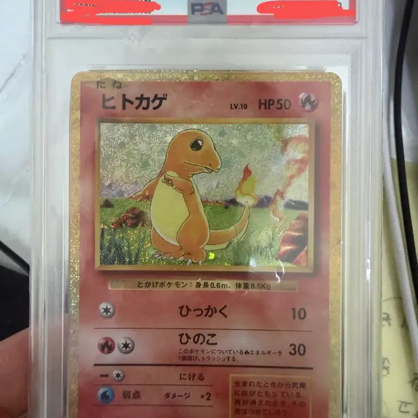 [BUNJANG] Pokemon Charizard PSA 10 / 포켓몬스터 파이리 psa10