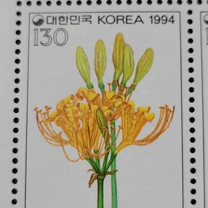 [BUNJANG] 1994 Wildflower Series &