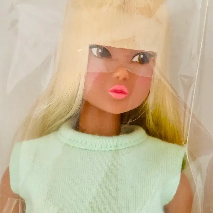 [BUNJANG] Momoko 2109 Doll / 모모꼬 momoko  2109 미개봉